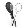 Lot De Raquettes De Badminton Adulte BR 160