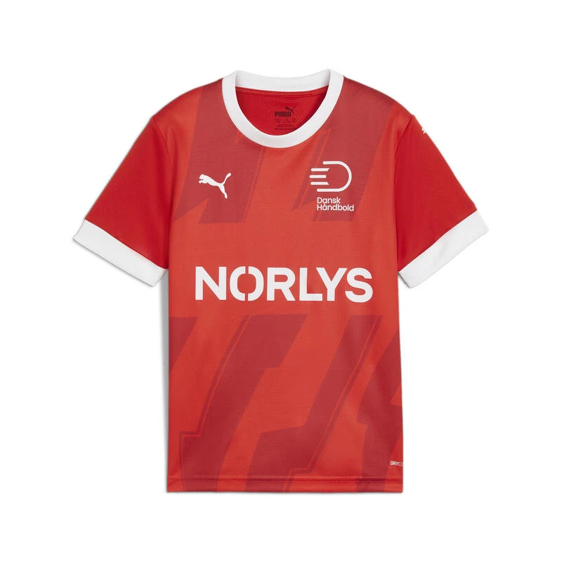 Maillot De Handball Home Danemark Enfant Et Adolescent PUMA Red White