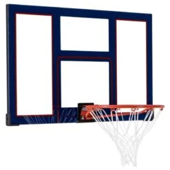 Lifetime Panier De Basket Mural SkyBoard Dunk Plexi + Garantie 5 Ans