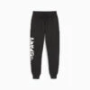 Pantalon De Survêtement Posterize 2.0 PUMA HOOPS PUMA Black