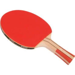 Raquette De Tennis De Table Buffalo Active
