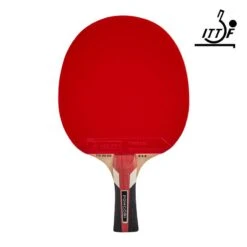 RAQUETTE DE TENNIS DE TABLE ÉCOLE TTR 100 ENFANT 3* ALLROUND
