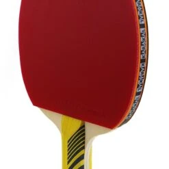Raquette De Tennis De Table Karakal KT300