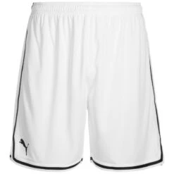 Trainingsshorts Hoops Team Game Herren PUMA